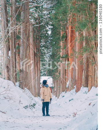 雪中行走的登山者 116040180