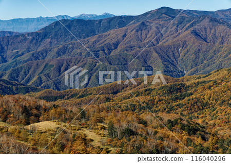 View of autumn leaves from Mt. Kasatori in Okuchichibu, including Mt. Karatoge, Mt. Kurogane, and the Southern Alps View of autumn leaves from Mt. Kasatori in Okuchichibu, including Mt. Karatoge, Mt. Kurogane, and the Southern Alps 116040296
