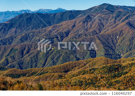 View of autumn leaves from Mt. Kasatori in Okuchichibu, including Mt. Karatoge, Mt. Kurogane, and the Southern Alps View of autumn leaves from Mt. Kasatori in Okuchichibu, including Mt. Karatoge, Mt. Kurogane, and the Southern Alps 116040297