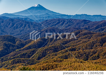 Yellow leaves of Mt. Larch and Mt. Fuji seen from Oku Chichibu and Mt. 116040298