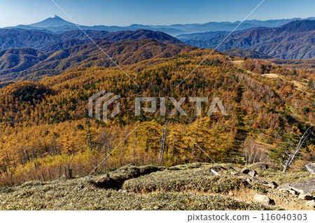 View of the autumn foliage of the mountains, Mt. Fuji, and the Southern Alps from Mt. Kasatori View of the autumn foliage of the mountains, Mt. Fuji, and the Southern Alps from Mt. Kasatori 116040303