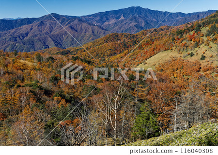 從奧道部/笠取山看到的連東嶺、黑金山、國志岳的紅葉 116040308