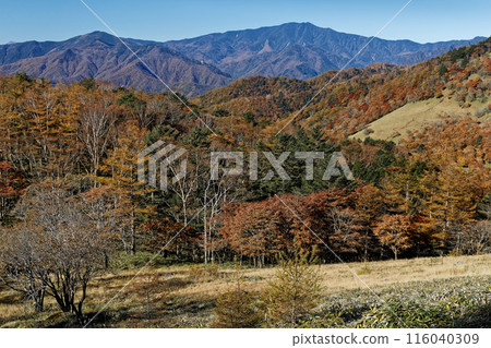 從笠取山附近看到的奧道部、連東毛、黑金山、健德山的紅葉 116040309