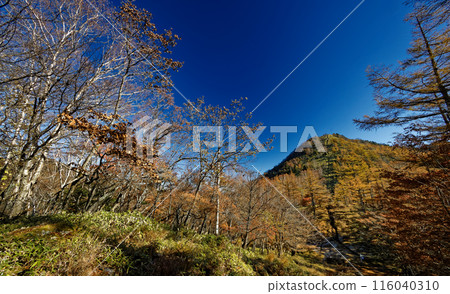 從分水嶺附近看到的奧道部和笠取山的秋色 116040310