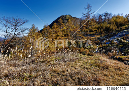 Autumn colors of Mt. Kasatori in Okuchichibu, seen from the Mikawa watershed Autumn colors of Mt. Kasatori in Okuchichibu, seen from the Mikawa watershed 116040313