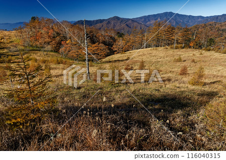 Autumn foliage in Okuchichibu, near Mt. Kasatori, and Mt. Kurogane and Mt. Kentoku seen from the watershed Autumn foliage in Okuchichibu, near Mt. Kasatori, and Mt. Kurogane and Mt. Kentoku seen from the watershed 116040315