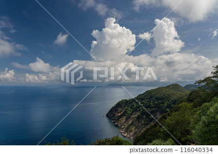 Fukui Mikata Goko 116040334