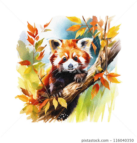 小熊貓的水彩插圖，白色背景的剪紙 116040350