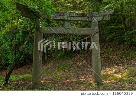 Torii gate of Yatsuka Shrine (Kurate Town) 116040359