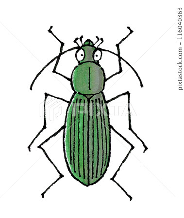 白尾甲蟲 116040363