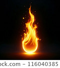 Blazing Fire on Black Background 116040385