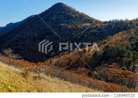 Autumn foliage of Mt. Kasatori seen from Karatoge Pass on the Okuchichibu Trail Autumn foliage of Mt. Kasatori seen from Karatoge Pass on the Okuchichibu Trail 116040510