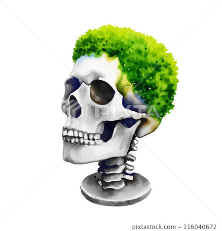 A surreal illustration of a skeleton with grass growing on its head, making it look like a hairstyle. Cut-out on a white background A surreal illustration of a skeleton with grass growing on its head, making it look like a hairstyle. Cut-out on a white background 116040672