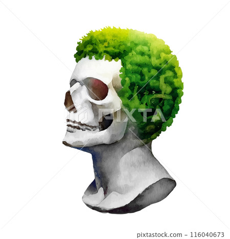 A surreal illustration of a skeleton with grass growing on its head, making it look like a hairstyle. Cut-out on a white background A surreal illustration of a skeleton with grass growing on its head, making it look like a hairstyle. Cut-out on a white background 116040673