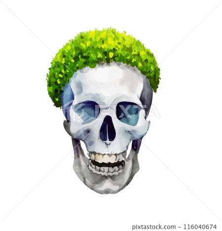 頭上有草的超現實骨架的插圖,看起來像髮型,白色背景上的切口 頭上有草的超現實骨架的插圖,看起來像髮型,白色背景上的切口 116040674