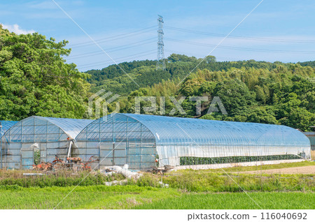 乙烯基房子和國家視圖 乙烯基房子和國家視圖 116040692
