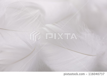 Soft feather background material Soft feather background material 116040737