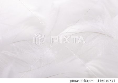 Soft feather background material 116040751