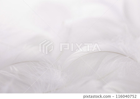 Soft feather background material 116040752