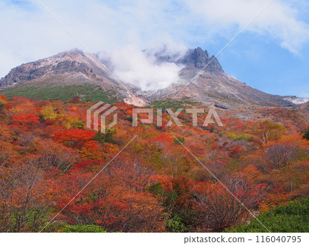 Autumn view of Mt. Nasu-Chausu from Ubagadaira Autumn view of Mt. Nasu-Chausu from Ubagadaira 116040795