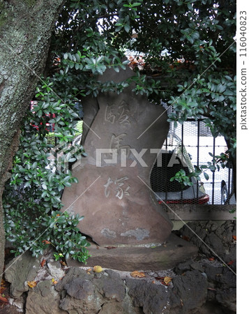 The horse mound at Tonomine Naito Shrine in Shinjuku Ward 116040823