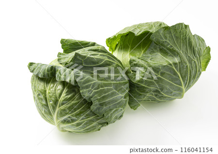 白色背景白菜 白色背景白菜 116041154