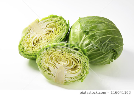 White background cabbage 116041163