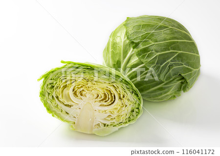 白色背景白菜 116041172