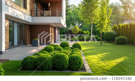 House Backyard with Green Lawn House Backyard with Green Lawn 116041180