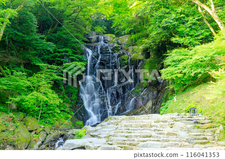 初夏的白絲瀑布，福岡縣絲島市 116041353