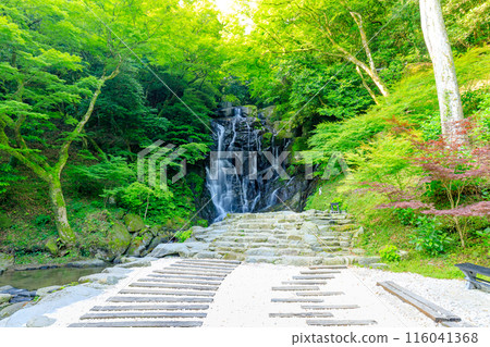 初夏的白絲瀑布,福岡縣絲島市 初夏的白絲瀑布,福岡縣絲島市 116041368