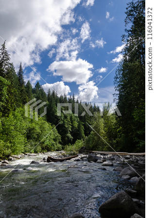 Kettle River near Cascade Falls located Northeast of Mission, British Columbia, Canada 116041372