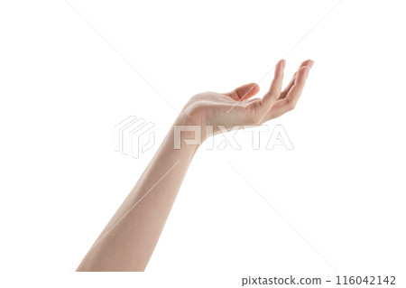 Female hand hold something isolated on white Female hand hold something isolated on white 116042142