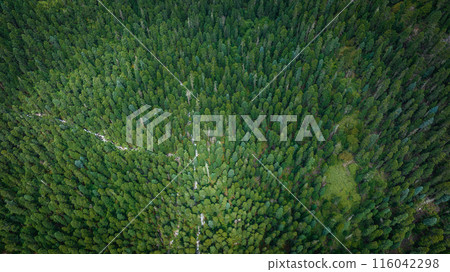 Aerial view of beautiful high altitude forest mountain landscape Aerial view of beautiful high altitude forest mountain landscape 116042298