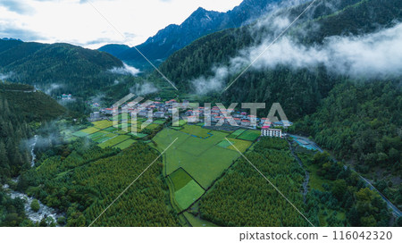 Aerial view of beautiful high altitude forest mountain landscape Aerial view of beautiful high altitude forest mountain landscape 116042320