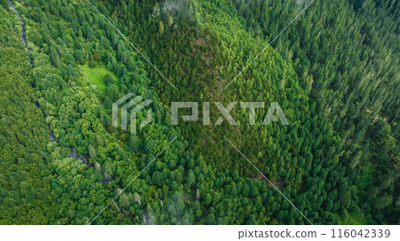 Aerial view of beautiful high altitude forest mountain landscape 116042339