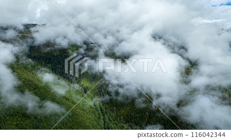 Aerial view of beautiful high altitude forest mountain landscape Aerial view of beautiful high altitude forest mountain landscape 116042344