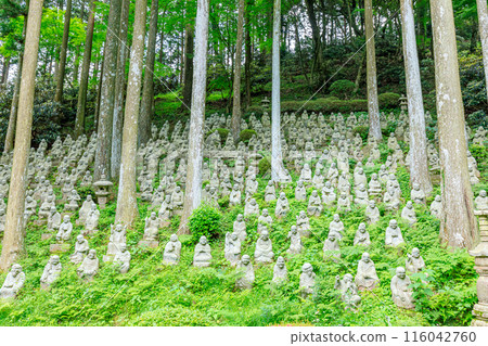 初夏 雷山千如寺 大神王院 五百羅漢 福岡縣絲島市 116042760