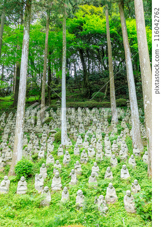 初夏 雷山千如寺 大神王院 五百羅漢 福岡縣絲島市 116042762