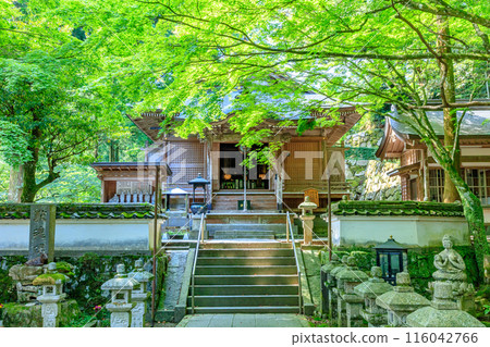 Early summer at Raizan Sennyoji Daihio-in Temple in Itoshima City, Fukuoka Prefecture Early summer at Raizan Sennyoji Daihio-in Temple in Itoshima City, Fukuoka Prefecture 116042766