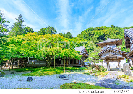 Early summer at Raizan Sennyoji Daihio-in Temple in Itoshima City, Fukuoka Prefecture Early summer at Raizan Sennyoji Daihio-in Temple in Itoshima City, Fukuoka Prefecture 116042775