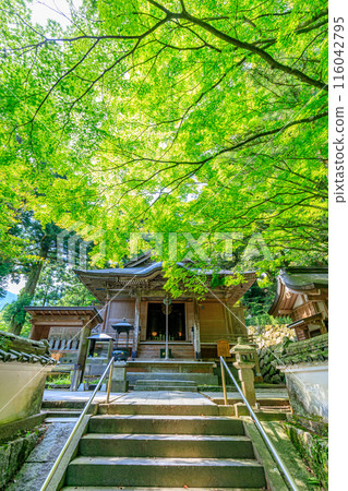 初夏 雷山千如寺大神王院 福岡縣絲島市 116042795