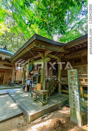 Early summer at Raizan Sennyoji Daihioin Kannon Hall, Itoshima City, Fukuoka Prefecture 116042800