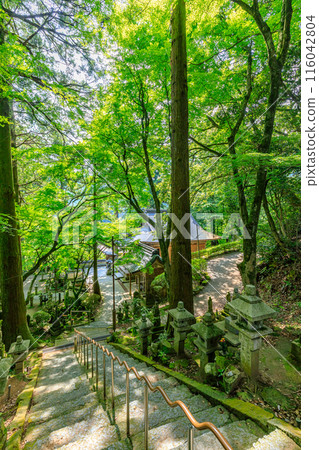 初夏 雷山千如寺大神王院 福岡縣絲島市 116042804