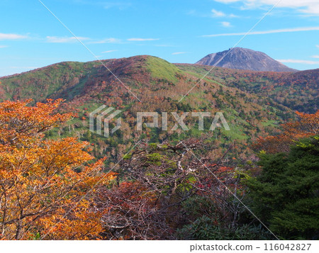 Autumn view of Mt. Nasu-Chausu from Mt. Shirasasa 116042827