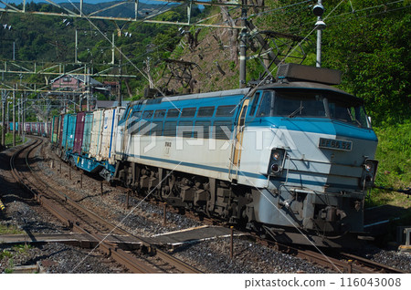train, trains, freight 116043008