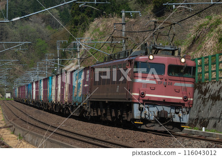 train, trains, freight 116043012