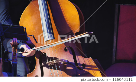 The contrabass stands vertically with its deep brown wooden body, four strings, and characteristic curved silhouette. The contrabass stands vertically with its deep brown wooden body, four strings, and characteristic curved silhouette. 116043111