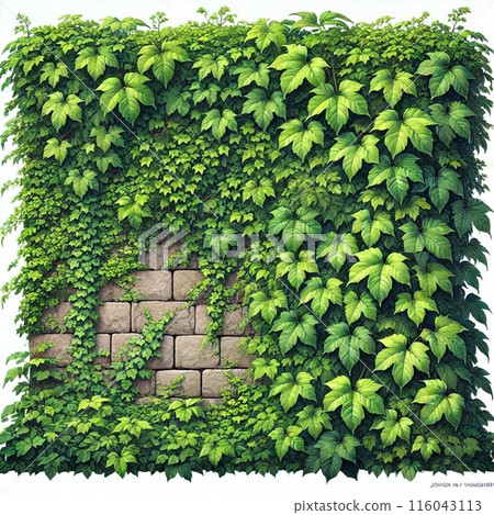 Brick wall with ivy Brick wall with ivy 116043113