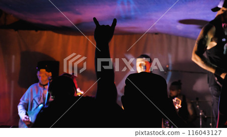 Live musical performance in a nightclub. Vivid image capturing a live musical performance with an energetic crowd. Live musical performance in a nightclub. Vivid image capturing a live musical performance with an energetic crowd. 116043127